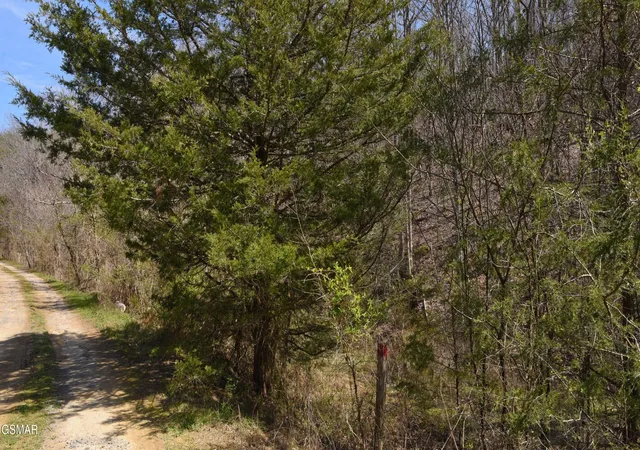 3rd image of 912 Cooley King Road, Kodak, TN 37764 | MLS# 3333893
