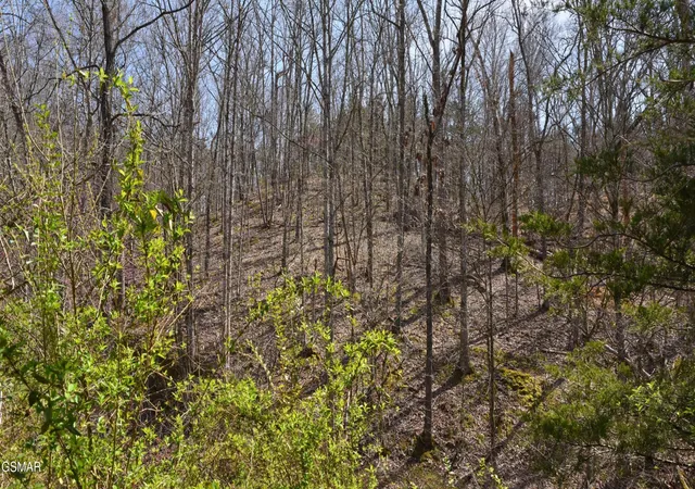 5th image of 912 Cooley King Road, Kodak, TN 37764 | MLS# 3333893