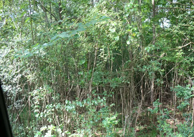 4th image of 0 Wren Avenue, Camden, TN 38320 | MLS# 3335293