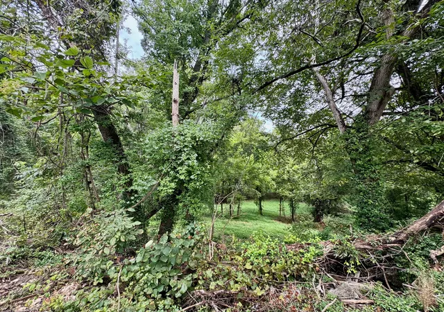 26th image of 1613 Shipley Rd, Cookeville, TN 38501 | MLS# 3335352
