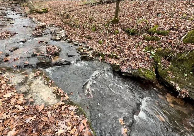 Photo 4 of Land for sale at 5923 Old Hohenwald Rd, Linden, TN 37096 | MLS# 3335350 | Listing updated on 2026-08-15