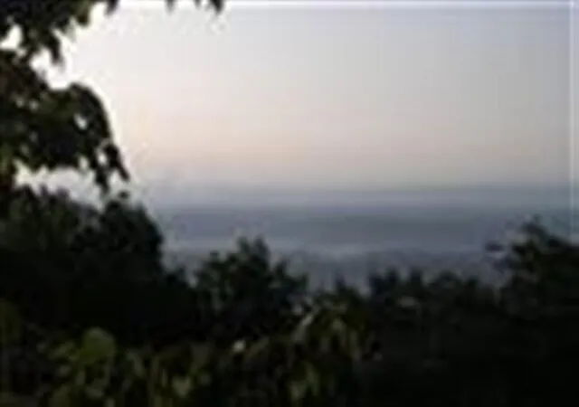 5th image of 1180 Black Bear Trail, Evensville, TN 37332 | MLS# 3335355