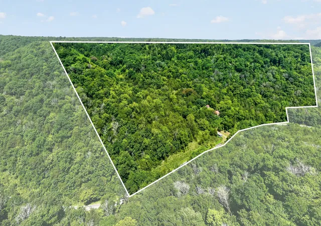 2nd image of 2949 Wilmouth Creek Rd, Liberty, TN 37095 | MLS# 3335743