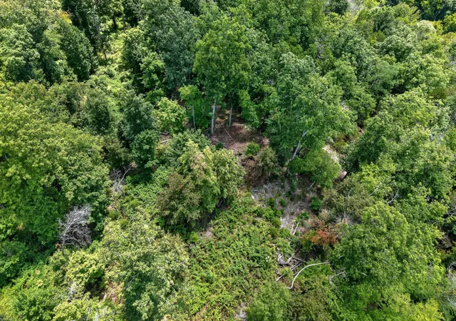 Photo 2 of House for sale at 0 Wilmouth Crk Rd, Liberty, TN 37095 | MLS# 3335753 | Listing updated on 2026-08-20
