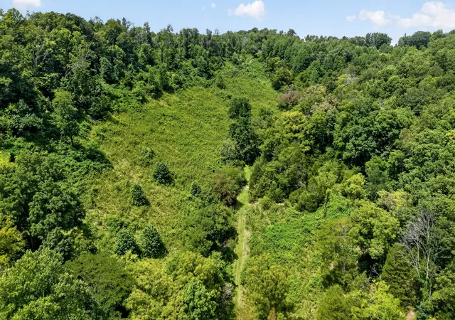 Photo 4 of House for sale at 0 Wilmouth Crk Rd, Liberty, TN 37095 | MLS# 3335753 | Listing updated on 2026-08-20