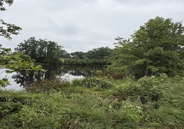 14th image of 0 Rock Bridge Rd, Bethpage, TN 37022 | MLS# 3335358