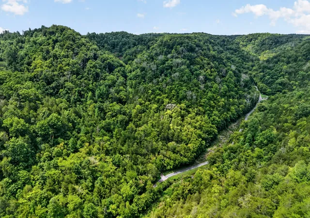 1st image of 0 Turkey Branch Rd, Liberty, TN 37095 | MLS# 3335744