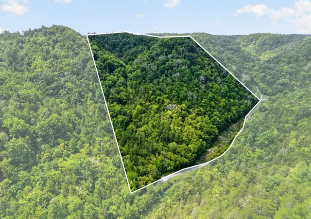 2nd image of 0 Turkey Branch Rd, Liberty, TN 37095 | MLS# 3335744