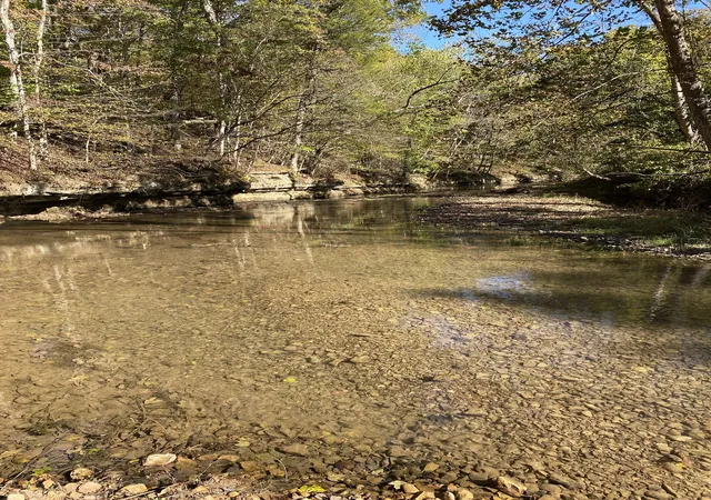 Photo 3 of Land for sale at 901 Britton Springs Rd, Clarksville, TN 37042 | MLS# 3499714 | Listing updated on 2026-08-07