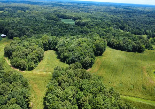 23rd image of 1300 Holder Rd, Cedar Grove, TN 38321 | MLS# 3335860
