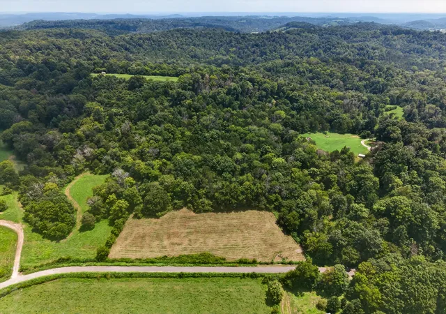4th image of 0 Cathcart Rd, Frankewing, TN 38459 | MLS# 3501186