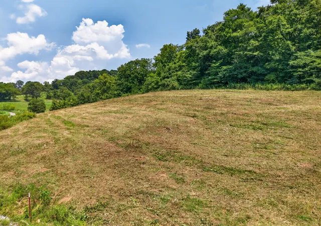 5th image of 0 Cathcart Rd, Frankewing, TN 38459 | MLS# 3501186