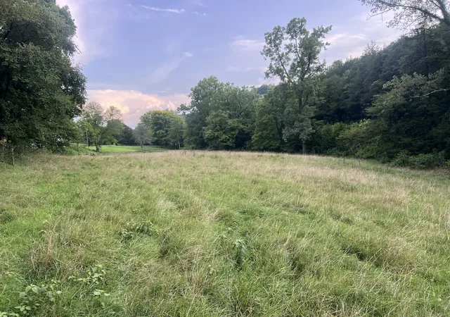 1st image of 0 Club Springs Rd Off 263, Elmwood, TN 38560 | MLS# 3336281