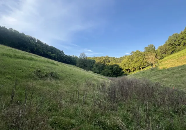 2nd image of 0 Club Springs Rd Off 263, Elmwood, TN 38560 | MLS# 3336281