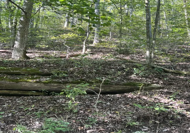 1st image of 0 Neeley Creek Rd, Celina, TN 38551 | MLS# 3335974