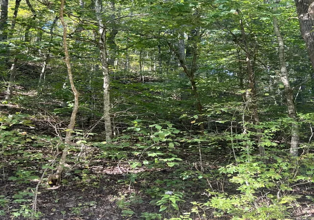 3rd image of 0 Neeley Creek Rd, Celina, TN 38551 | MLS# 3335974