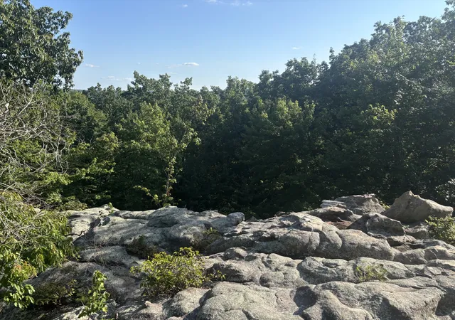 1st image of 0 Holloway Ridge Road, Spring City, TN 37381 | MLS# 3335798
