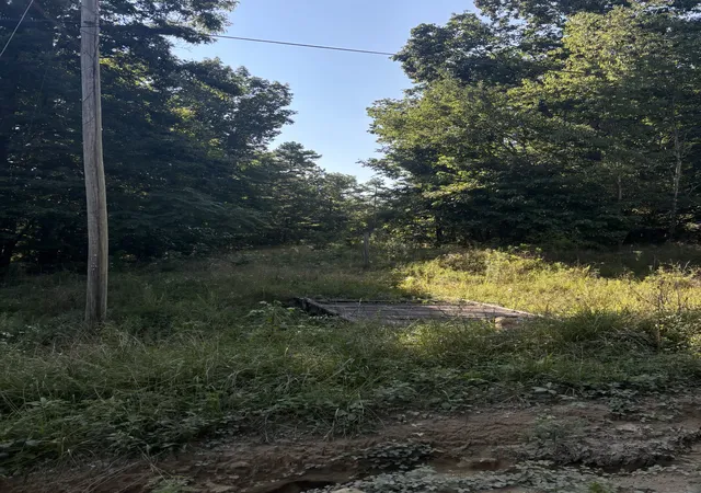 2nd image of 0 Holloway Ridge Road, Spring City, TN 37381 | MLS# 3335798