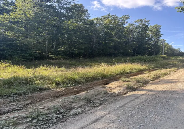 4th image of 0 Holloway Ridge Road, Spring City, TN 37381 | MLS# 3335798