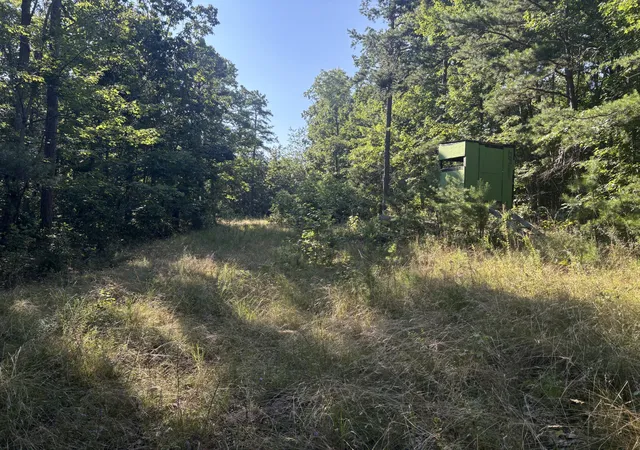 5th image of 0 Holloway Ridge Road, Spring City, TN 37381 | MLS# 3335798