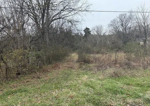 1st image of 0 Lewis Rd, Santa Fe, TN 38482 | MLS# 3336014