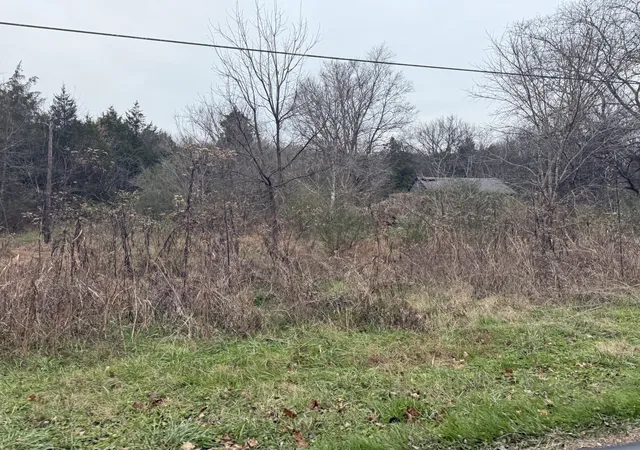 2nd image of 0 Lewis Rd, Santa Fe, TN 38482 | MLS# 3336014