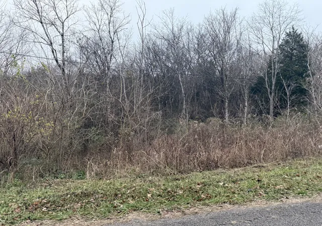 Photo 3 of Land for sale at 0 Lewis Rd, Santa Fe, TN 38482 | MLS# 3336014 | Listing updated on 2026-08-06