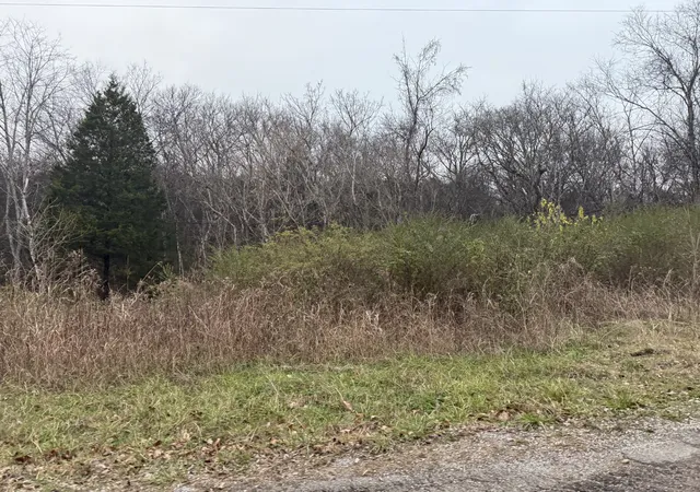 Photo 3 of Land for sale at 0 Lewis Rd, Santa Fe, TN 38482 | MLS# 3336014 | Listing updated on 2026-08-06
