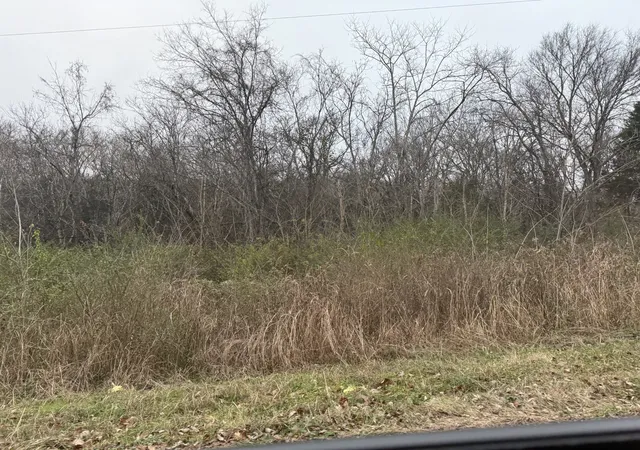 Photo 4 of Land for sale at 0 Lewis Rd, Santa Fe, TN 38482 | MLS# 3336014 | Listing updated on 2026-08-06