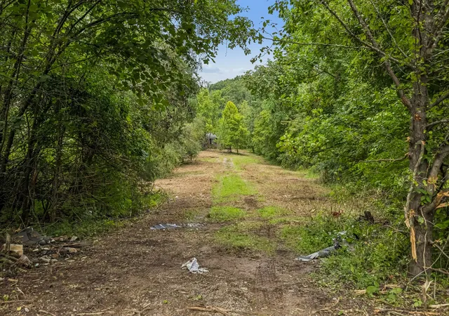 26th image of 1590 Brinkley Branch Rd, Hendersonville, TN 37075 | MLS# 3336191