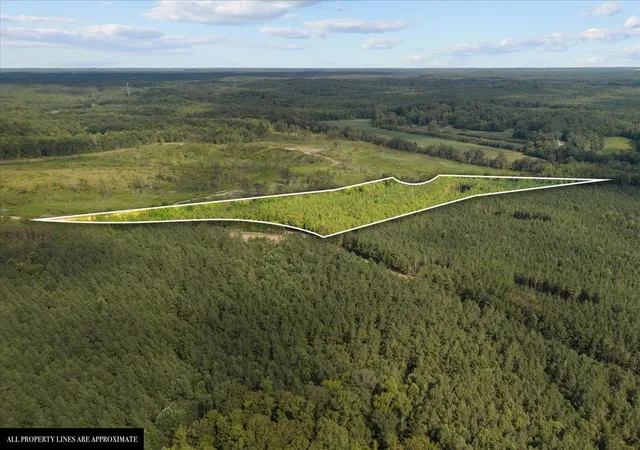 19th image of 0 Eden Farm Rd, Camden, TN 38320 | MLS# 3336049