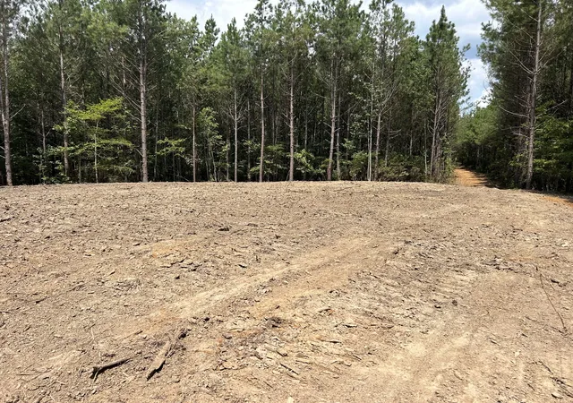 4th image of 0 Eden Farm Rd, Camden, TN 38320 | MLS# 3336049