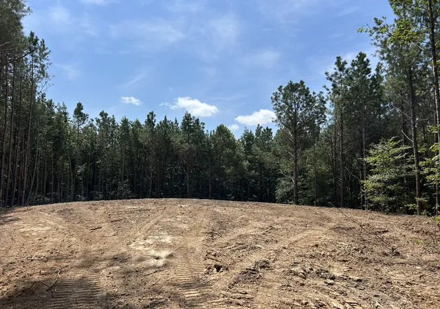 5th image of 0 Eden Farm Rd, Camden, TN 38320 | MLS# 3336049