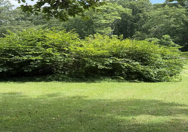 Photo 4 of Single family home for sale at 12147 Sewanee Hwy, Sewanee, TN 37375 | MLS# 3499813 | Listing updated on 2026-08-19