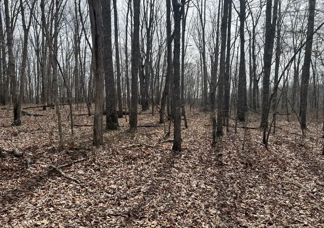 16th image of 4441 Deer Run Road, Altamont, TN 37301 | MLS# 3335926
