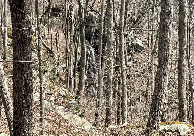 2nd image of 4441 Deer Run Road, Altamont, TN 37301 | MLS# 3335926
