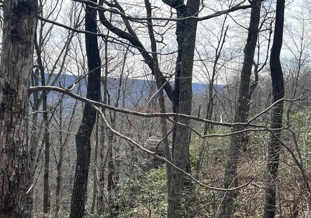 4th image of 4441 Deer Run Road, Altamont, TN 37301 | MLS# 3335926
