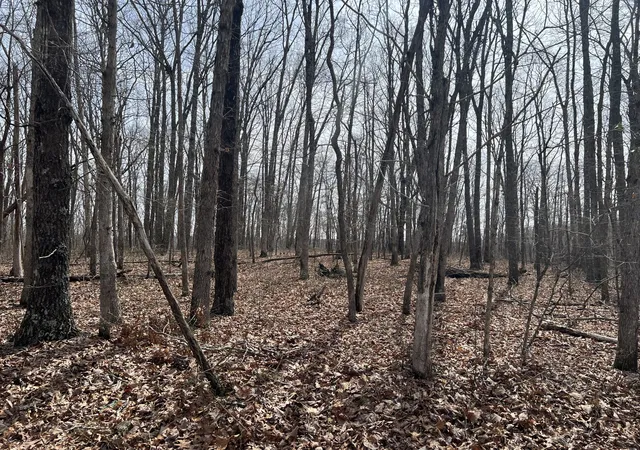 5th image of 4441 Deer Run Road, Altamont, TN 37301 | MLS# 3335926