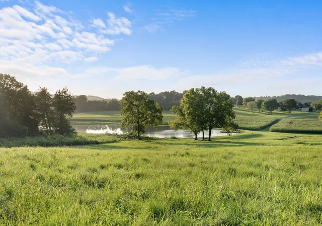 3rd image of 2942 Newman Rd, Ardmore, TN 38449 | MLS# 3336249