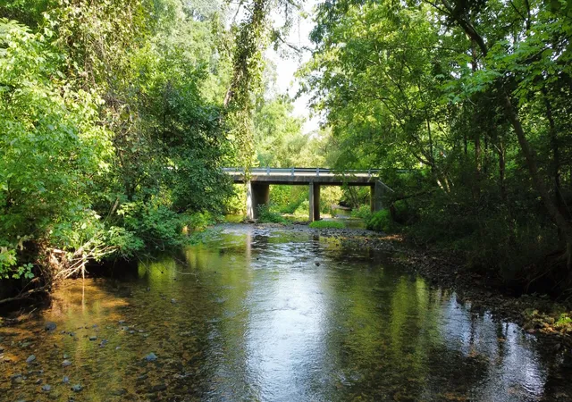 Photo 2 of Land for sale at 107 Albert Mathis Ct, Erin, TN 37061 | MLS# 3499775 | Listing updated on 2026-08-15