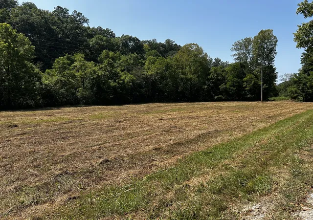 Photo 6 of Land for sale at 107 Albert Mathis Ct, Erin, TN 37061 | MLS# 3499775 | Listing updated on 2026-08-15
