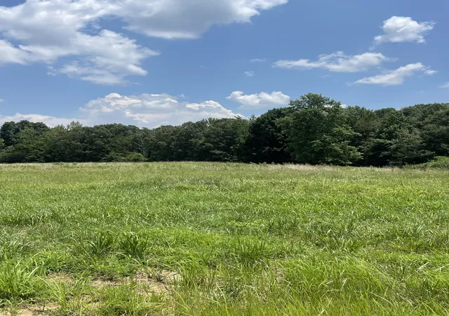 1st image of 0 Summer Lake Ct, Winchester, TN 37398 | MLS# 3336012