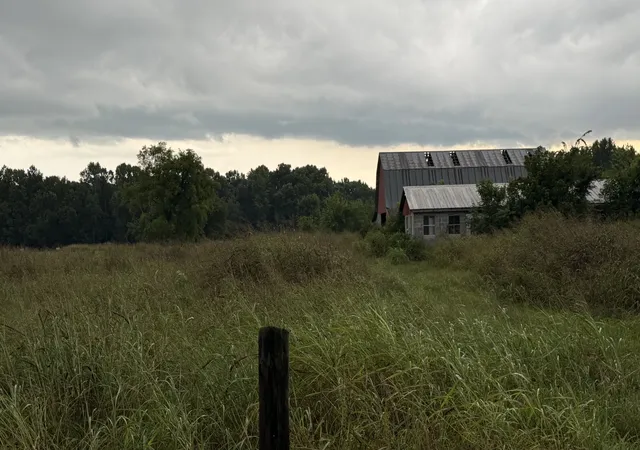 7th image of 0 Rock Springs Midland Rd, Christiana, TN 37037 | MLS# 3499669