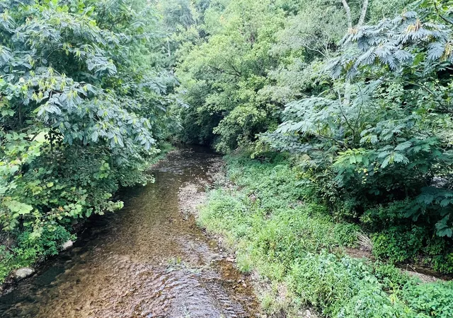 5th image of 380 Dry Weakley Rd, Ethridge, TN 38456 | MLS# 3506155