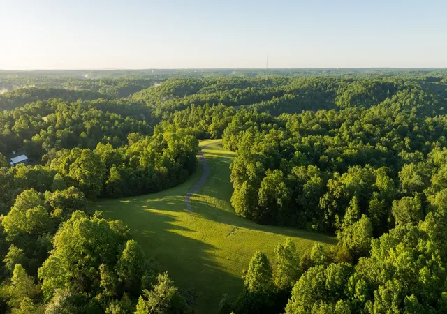 4th image of 7556 Caney Fork Rd, Fairview, TN 37062 | MLS# 3336331