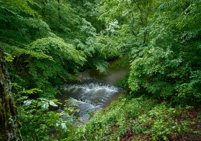 5th image of 7556 Caney Fork Rd, Fairview, TN 37062 | MLS# 3336331