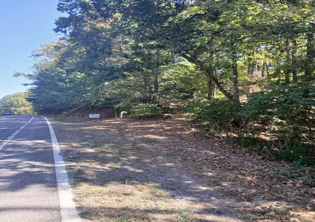 Land for sale at 8703 Highway 100, Nashville, TN 37221 | MLS# 3611050