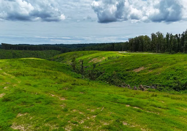 38th image of 1 Bell Hollow Rd, Vanleer, TN 37181 | MLS# 3336371