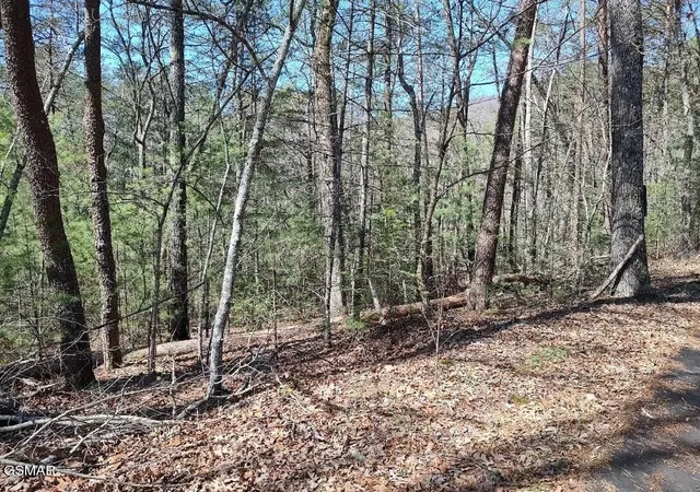 2nd image of 10 John Boy Trail, Sevierville, TN 37862 | MLS# 3336351