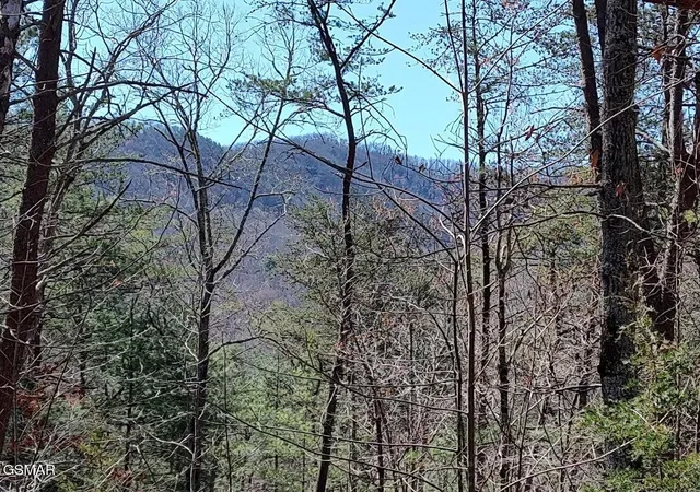 8th image of 10 John Boy Trail, Sevierville, TN 37862 | MLS# 3336351